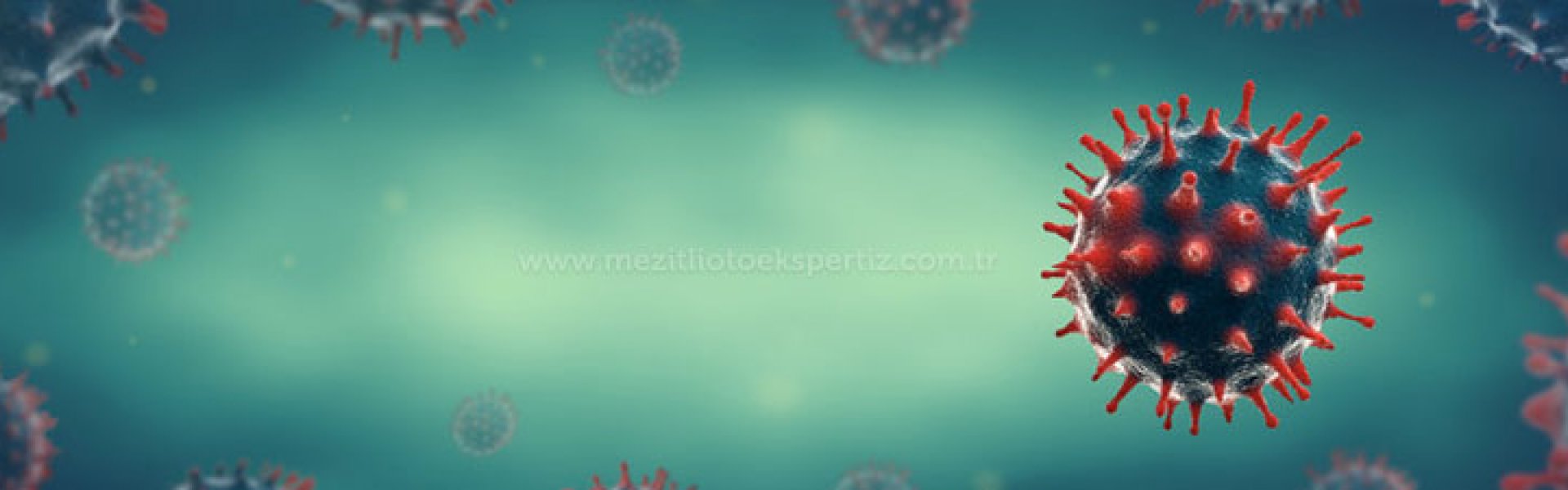Koronavir&uuml;s D&ouml;neminde Ara&ccedil; Satma İpu&ccedil;ları